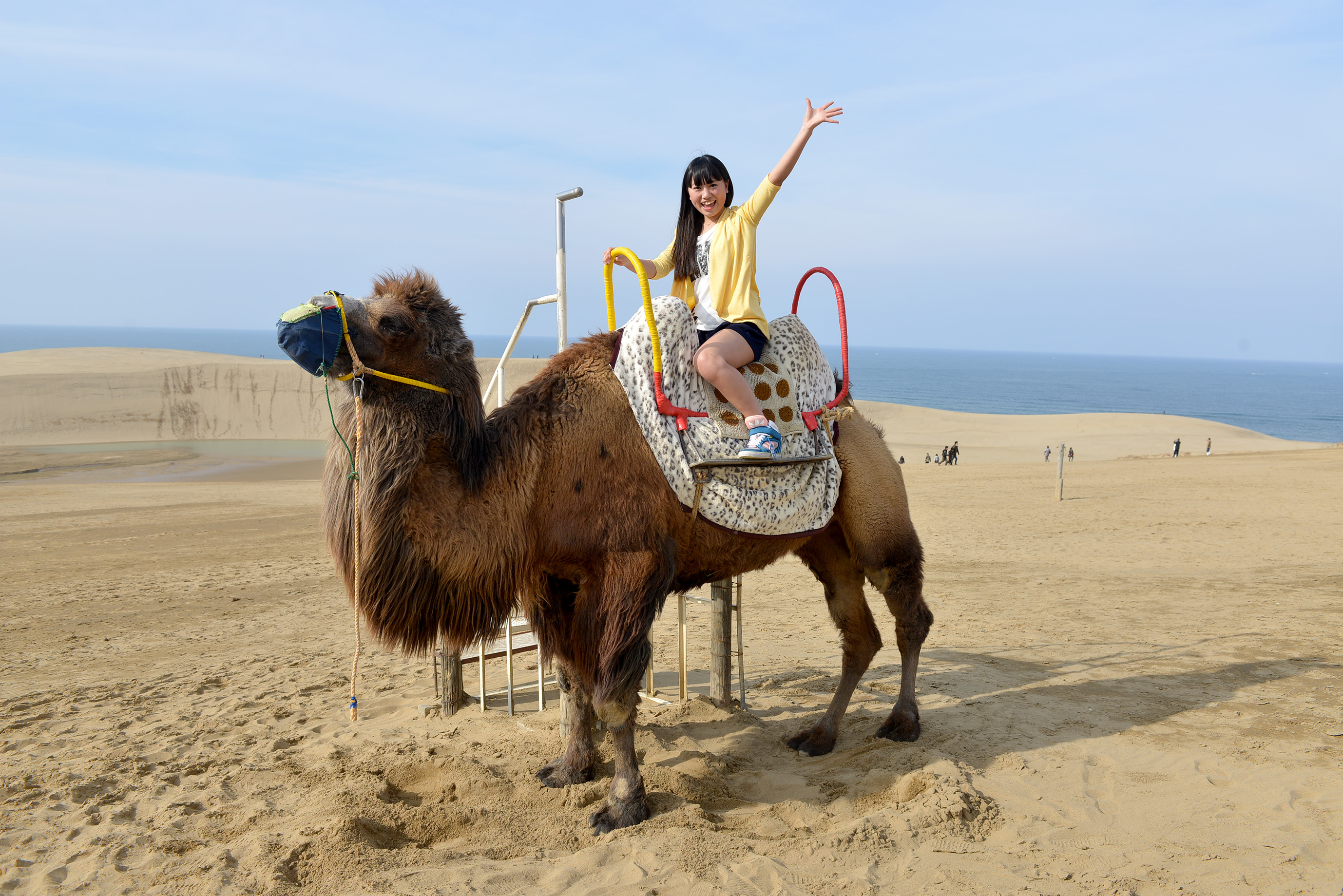 鳥取県東部自動車学校 おすすめスポット 合宿免許 免許でエース合宿免許 免許でエース